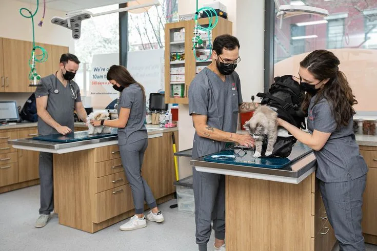 Veteriner Laboratuvarı ve Tahlil Merkezlerinde Elektrik Tesisatı